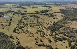 9645 Fm 1428, Midway, TX 75852