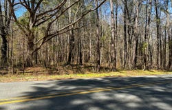 Brower Road, Siler City, NC 27344