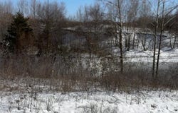 5500 Tannerwood  COVE, Gentry, AR 72734