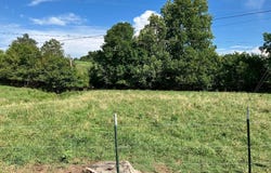 3200 Milburnton Rd, Limestone, TN 37681