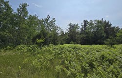 Northridge Drive lot: #82, Mancelona, MI 49659