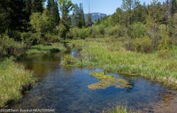 5075 W RAINBOW TROUT Lane, Wilson, WY 83014