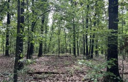9.58 Acres on Meadow Creek DR, Harrison, AR 72601