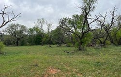 W. 23 Hoffman Road, Loving, TX 76460
