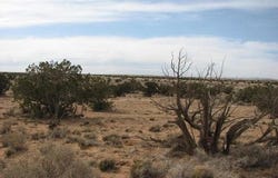 985 Ellsworth Drive, Heber, AZ 85928
