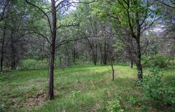 2.08 Ac Clearview Road, Nekoosa, WI 54456