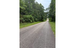 Tract 8 - County Road 313, Wedowee, AL 36278
