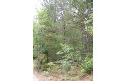 412 Sells Court, Pelion, SC 29123-0000