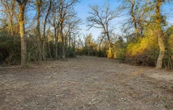 0000 FM 3, Normangee, TX 77871