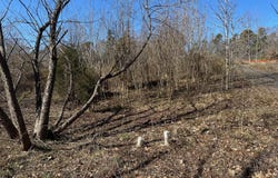 0 Reidsville Road, Walkertown, NC 27051