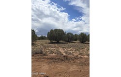 4979 W Tharp Road, Snowflake, AZ 85937