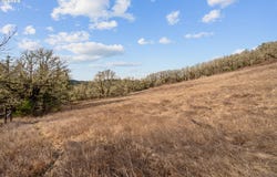 19660 SW EAGLE POINT RD, McMinnville, OR 97128