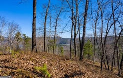 278 Carters Overlook, Ranger, GA 30734