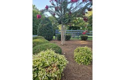 0 Loblolly Lane, Tunnel Hill, GA 30755