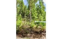 4256 Mountain View Drive, Island Park, ID 83429
