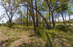 47 Beauregard Blvd, Daufuskie Island, SC 29915