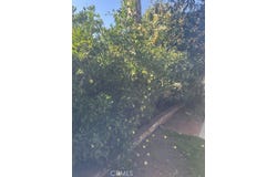 928 W Buffington, Upland, CA 91784
