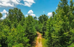 0 Oakley Road, Hybart, AL 36452