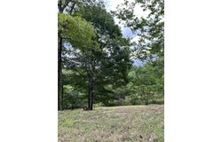 000 Vin Villa, Forsyth, MO 65653