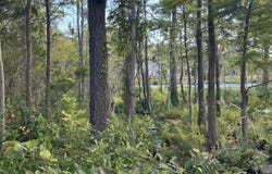 318 Megan Loop South, Hertford, NC 27944