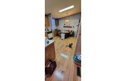 565  E St, Golden, CO 80401