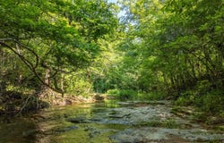 TBD Brown's Creek Road, Ravenden, AR 72459
