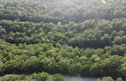 1310 Michigan Ave, Horseshoe Bend, AR 72512