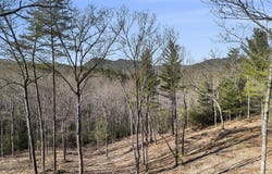0 Seed Tick, Clayton, GA 30525