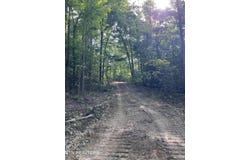 Little Sycamore Rd, Tazewell, TN 37879