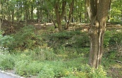 415 N 9TH Street, POTTSVILLE, PA 17901