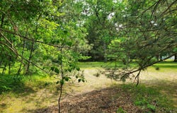998 E MONROE STREET, WHITE CLOUD, MI 49349