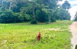 0 PARCEL#1 BECK Dr, Double Springs, AL 35553