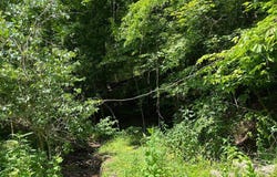 0 Youngs Hollow Road, Charleston, WV 25320