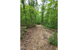 2065 Dyer Hollow Road, Mohawk, TN 37810