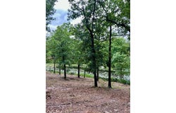 Tbd Lot 14, Athens, TX 75752