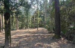 1.39 Acres Hood Rd, Denham Springs, LA 70726