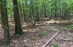 00 Wayne 505, Greenville, MO 63944