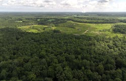 0 Lewis Coombs Road, Trenton, NC 28585