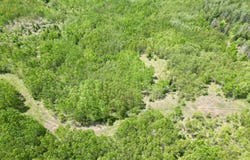 TBD CR 400, Perronville, MI 49807