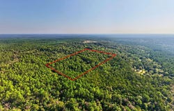 17 +/- Ac Burnis Havard Road, Perkinston, MS 39573