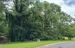 0 EAGLE POINTE DRIVE, PELL CITY, AL 35128