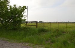 Tbd Replat Lot RS County Road 1520, Point, TX 75472