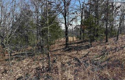 Lot 2 Deer Meadows Lane, Yellville, AR 72687