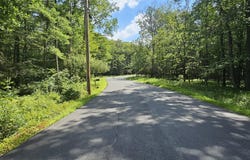 Lot 23.23 Perry Pond Road, Narrowsburg, NY, NY 12764