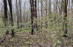 1150 Queensway Drive lot: 460, Lake Isabella, MI 48893