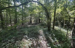 Stump Ridge Road, Brandon, MS 39047