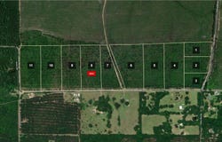 Camp Pearl Road lot: #10, Reeves, LA 70658