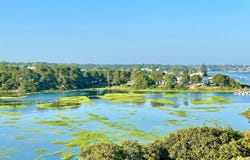 7 Squanto Drive, Chatham, MA 02633