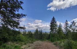 Ranch Rd, Loon Lake, WA 99148