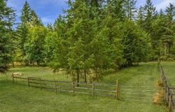 12345 Waddell Creek Road SW, Olympia, WA 98512